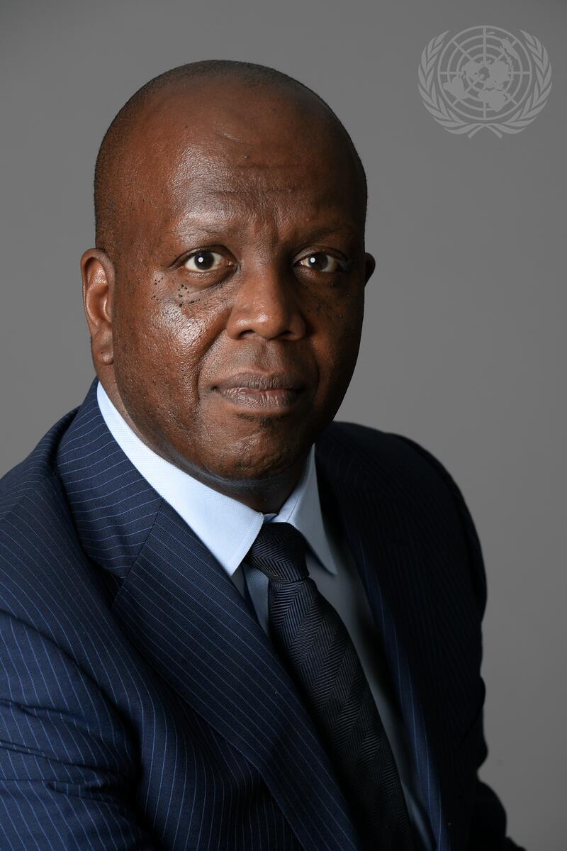 Official Portrait, Permanent Representative of Kenya